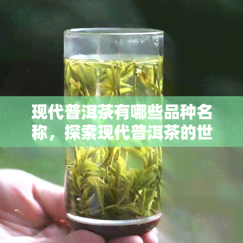 现代普洱茶有哪些品种名称，探索现代普洱茶的世界：品种名称全解析