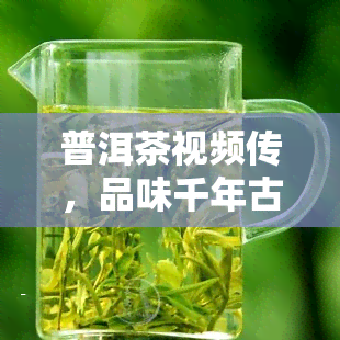 普洱茶视频传，品味千年古韵，领略普洱茶香——最新视频传即将上线！