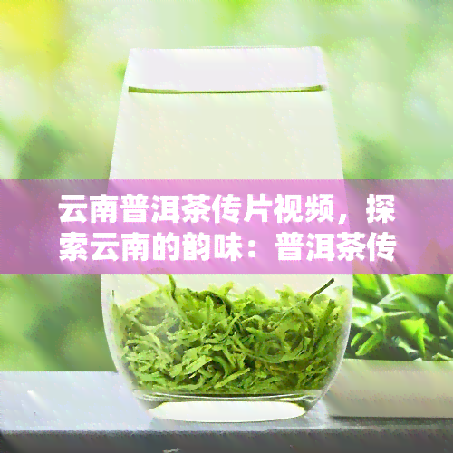 云南普洱茶传片视频，探索云南的韵味：普洱茶传片视频