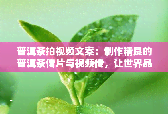 普洱茶拍视频文案：制作精良的普洱茶传片与视频传，让世界品味中国茶文化之美