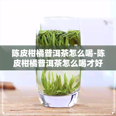 陈皮柑橘普洱茶怎么喝-陈皮柑橘普洱茶怎么喝才好喝