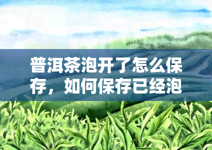 普洱茶泡开了怎么保存，如何保存已经泡开的普洱茶？一份详细的指南