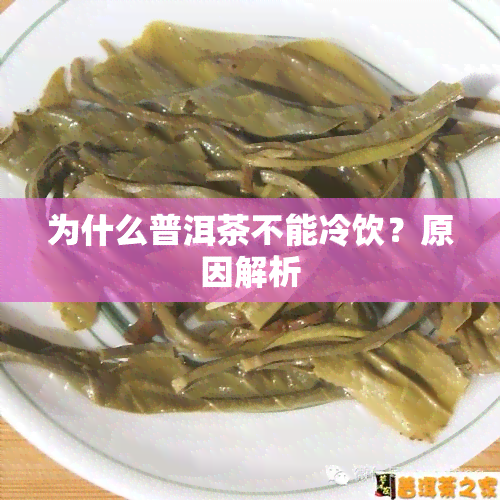 为什么普洱茶不能冷饮？原因解析