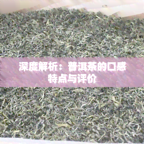 深度解析：普洱茶的口感特点与评价