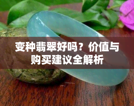 变种翡翠好吗？价值与购买建议全解析