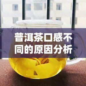 普洱茶口感不同的原因分析：影响因素全方位解析