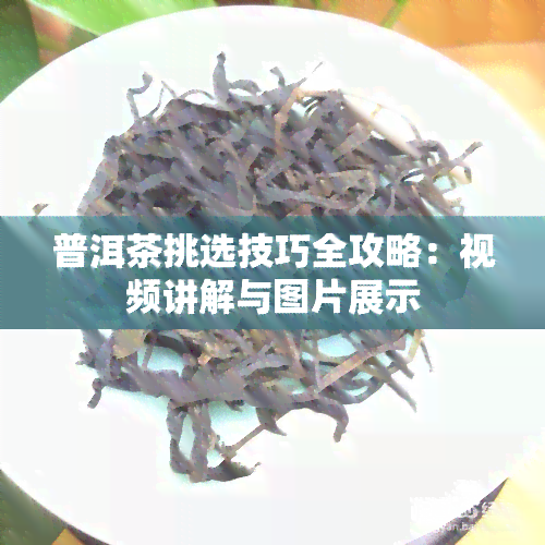 普洱茶挑选技巧全攻略：视频讲解与图片展示