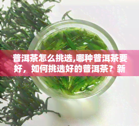 普洱茶怎么挑选,哪种普洱茶要好，如何挑选好的普洱茶？新手必看的普洱茶选购指南