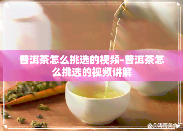 普洱茶怎么挑选的视频-普洱茶怎么挑选的视频讲解