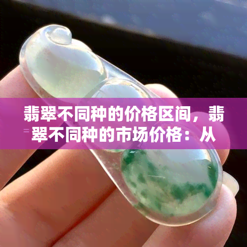 翡翠不同种的价格区间，翡翠不同种的市场价格：从高到低全解析