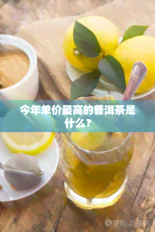 今年单价更高的普洱茶是什么？