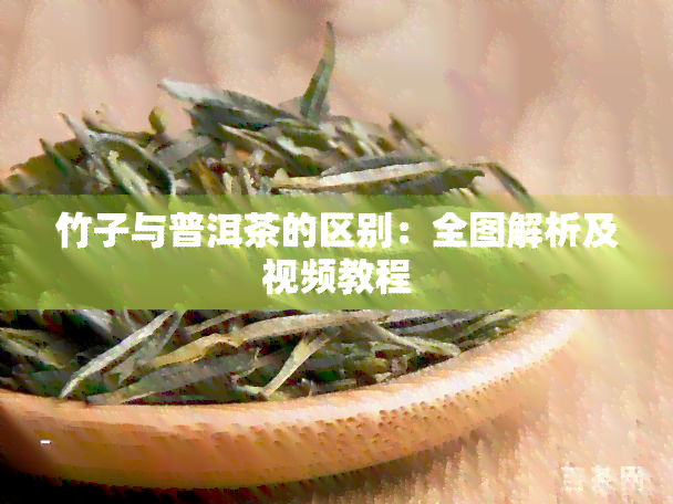 竹子与普洱茶的区别：全图解析及视频教程