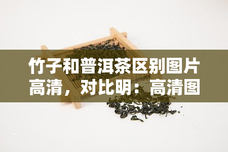 竹子和普洱茶区别图片高清，对比明：高清图片展示竹子与普洱茶的区别