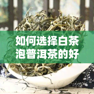 如何选择白茶泡普洱茶的好坏？关键步骤与技巧全解析！