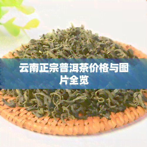 云南正宗普洱茶价格与图片全览