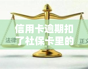 信用卡逾期扣了社保卡里的钱，悲剧！信用卡逾期导致社保卡余额被扣除，该怎么办？