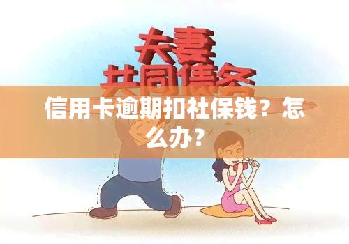 信用卡逾期扣社保钱？怎么办？