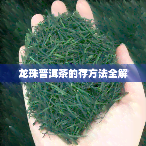 龙珠普洱茶的存方法全解