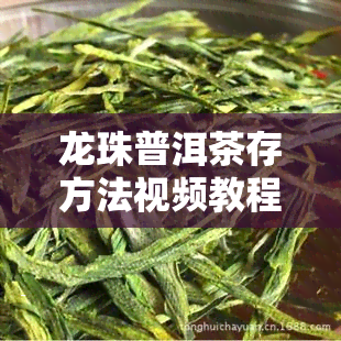 龙珠普洱茶存方法视频教程详解