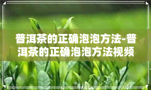 普洱茶的正确泡泡方法-普洱茶的正确泡泡方法视频