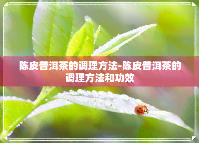 陈皮普洱茶的调理方法-陈皮普洱茶的调理方法和功效