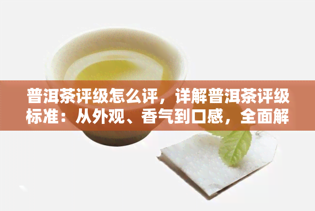 普洱茶评级怎么评，详解普洱茶评级标准：从外观、香气到口感，全面解析普洱茶的评级方法