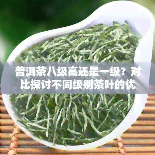 普洱茶八级高还是一级？对比探讨不同级别茶叶的优劣