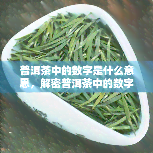 普洱茶中的数字是什么意思，解密普洱茶中的数字：它们代表什么含义？