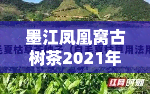 墨江凤凰窝古树茶2021年价格全览表