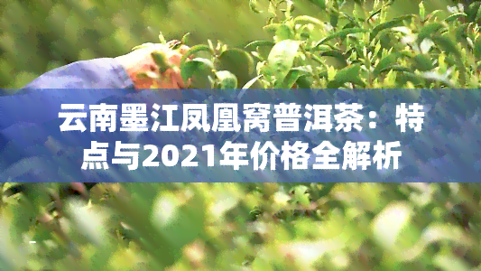 云南墨江凤凰窝普洱茶：特点与2021年价格全解析