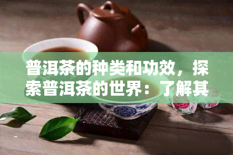 普洱茶的种类和功效，探索普洱茶的世界：了解其种类与神奇的功效