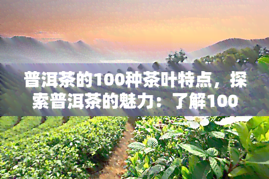 普洱茶的100种茶叶特点，探索普洱茶的魅力：了解100种茶叶的特点