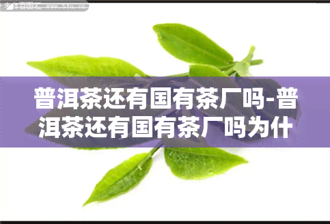 普洱茶还有国有茶厂吗-普洱茶还有国有茶厂吗为什么