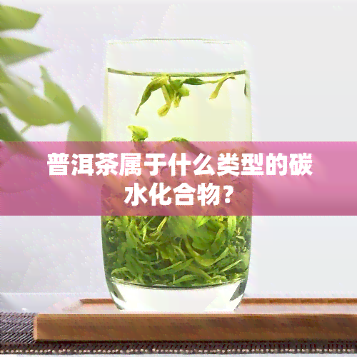 普洱茶属于什么类型的碳水化合物？