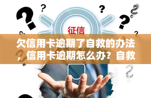 欠信用卡逾期了自救的办法，信用卡逾期怎么办？自救攻略在此！