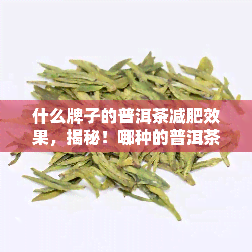 什么牌子的普洱茶减肥效果，揭秘！哪种的普洱茶减肥效果？