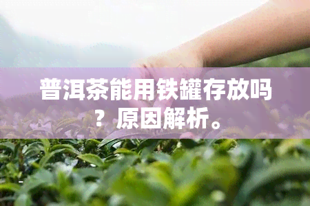 普洱茶能用铁罐存放吗？原因解析。