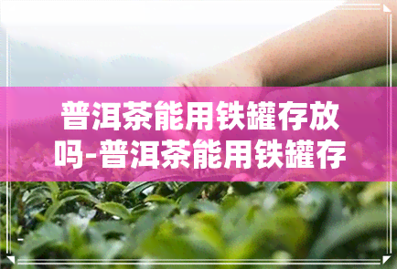 普洱茶能用铁罐存放吗-普洱茶能用铁罐存放吗有吗