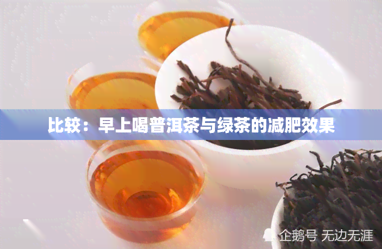 比较：早上喝普洱茶与绿茶的减肥效果