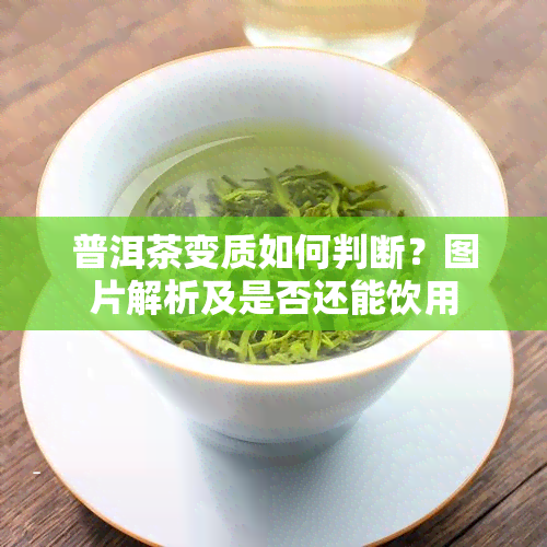 普洱茶变质如何判断？图片解析及是否还能饮用