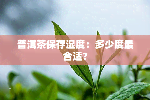 普洱茶保存湿度：多少度最合适？