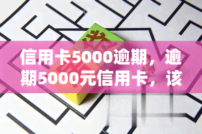 信用卡5000逾期，逾期5000元信用卡，该如何处理？