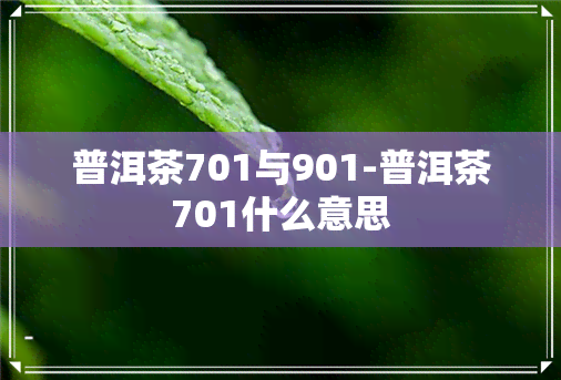 普洱茶701与901-普洱茶701什么意思