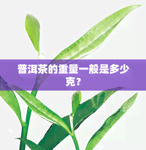 普洱茶的重量一般是多少克？