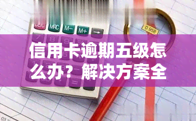 信用卡逾期五级怎么办？解决方案全解析