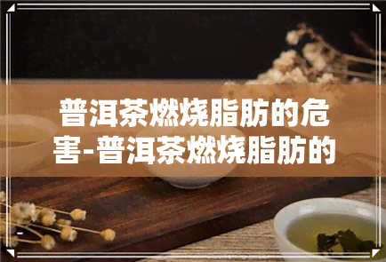 普洱茶燃烧脂肪的危害-普洱茶燃烧脂肪的危害有哪些