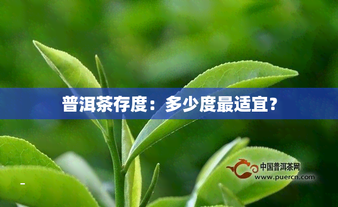 普洱茶存度：多少度最适宜？