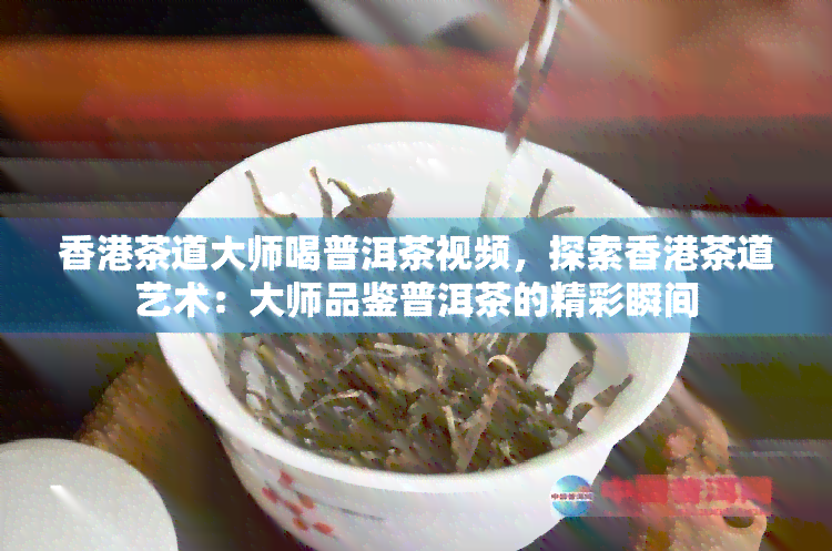 茶道大师喝普洱茶视频，探索茶道艺术：大师品鉴普洱茶的精彩瞬间