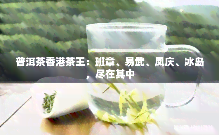 普洱茶茶王：班章、易武、凤庆、冰岛，尽在其中