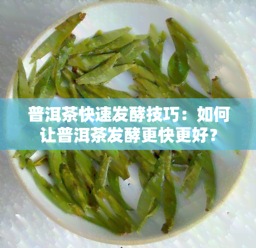 普洱茶快速发酵技巧：如何让普洱茶发酵更快更好？